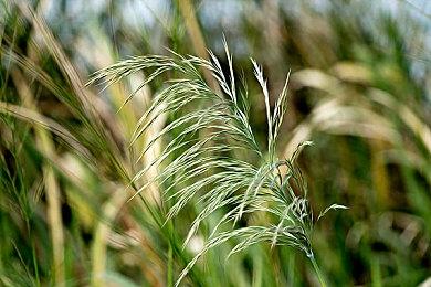 第一人称恐怖游戏《波比的游戏时间》即将登陆PS4、PS5和NS平台